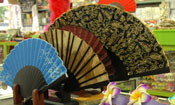 Various Colorful Fans